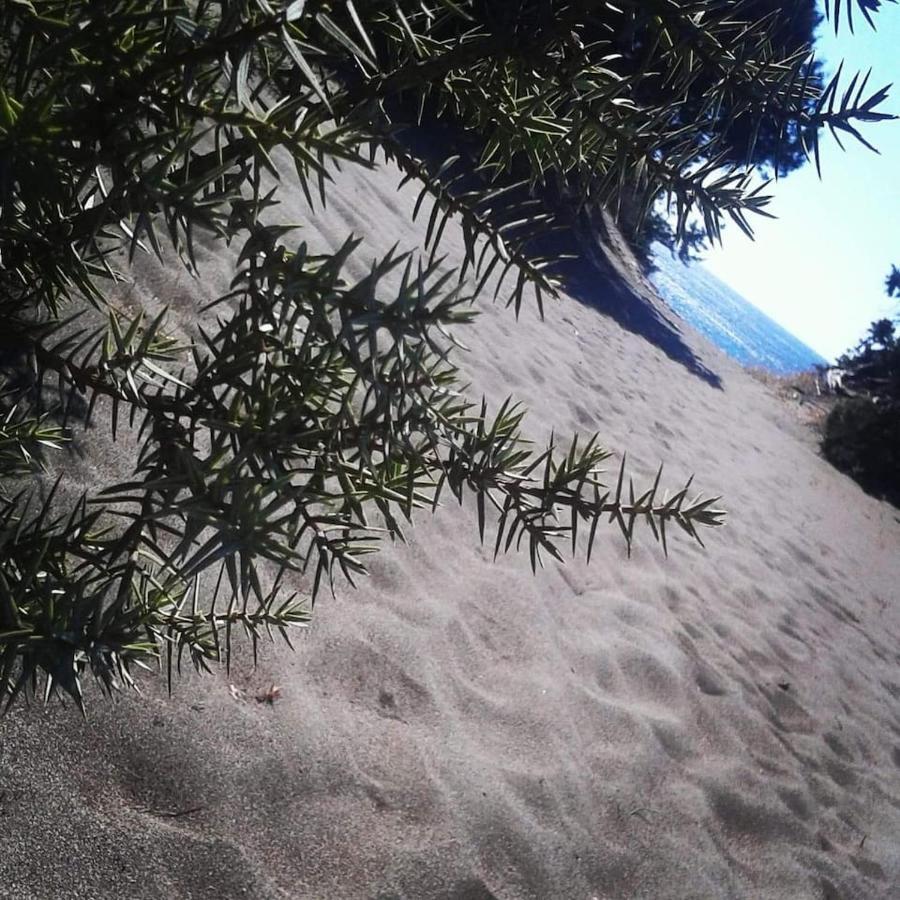 Cedrus And Sea, Beachfront House, Gennadi, Rhodes Eksteriør bilde