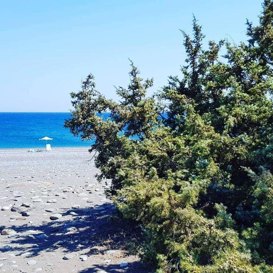 Cedrus And Sea, Beachfront House, Gennadi, Rhodes Eksteriør bilde