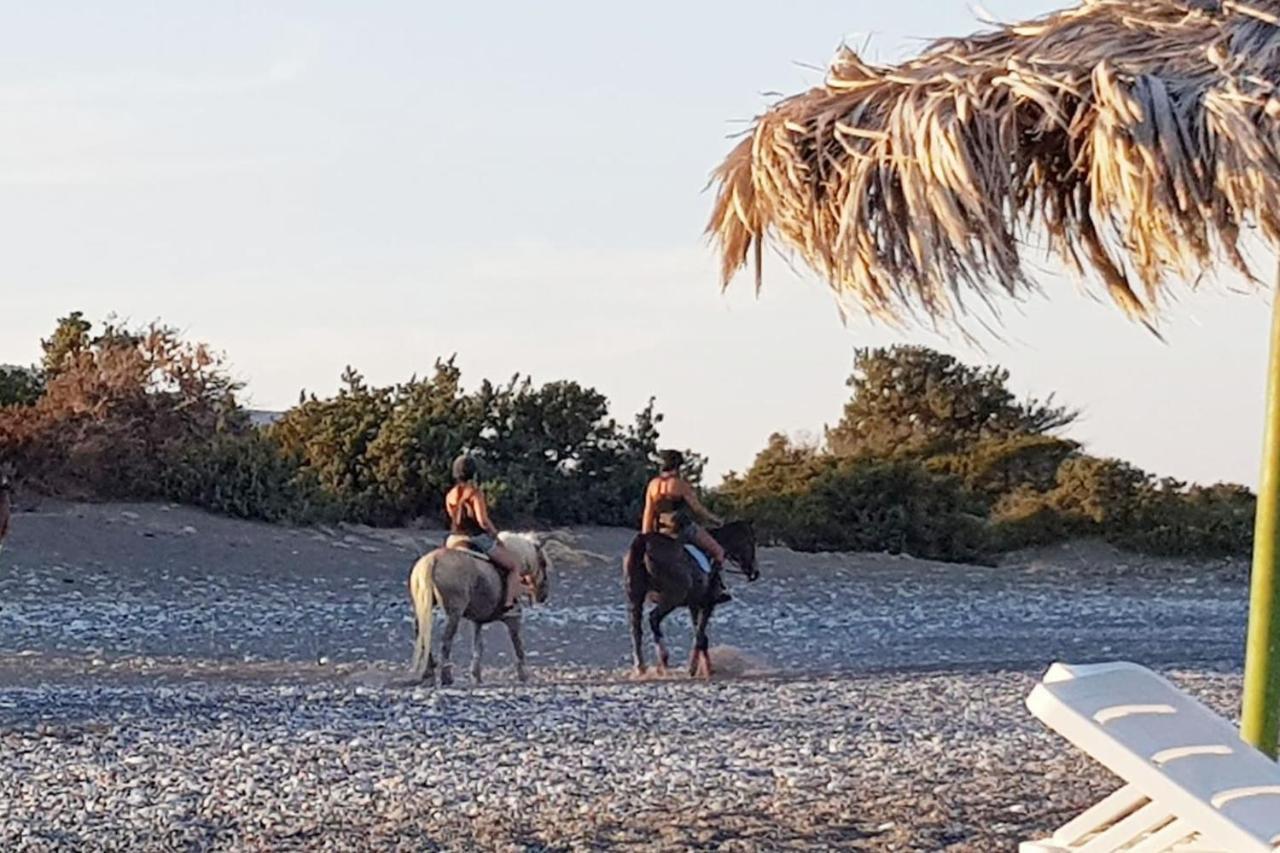 Cedrus And Sea, Beachfront House, Gennadi, Rhodes Eksteriør bilde